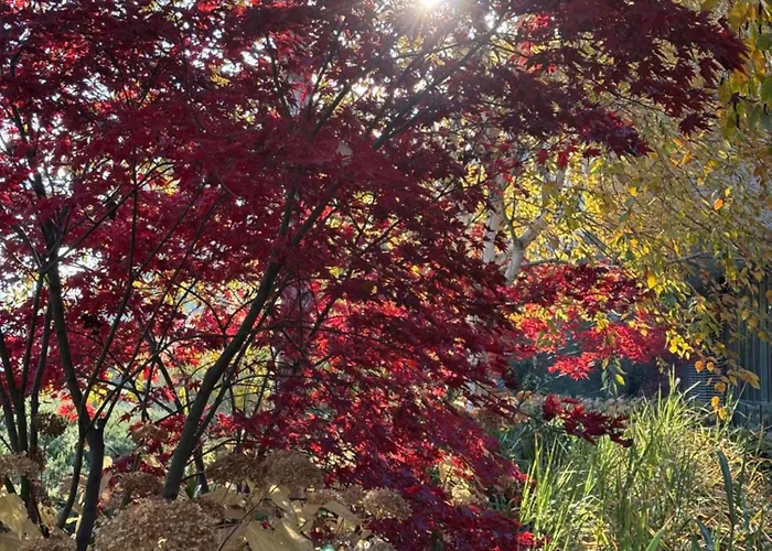 Riverside Industrial - Sauna - Gym -air-conditioning-spa-fitness Bed and breakfast