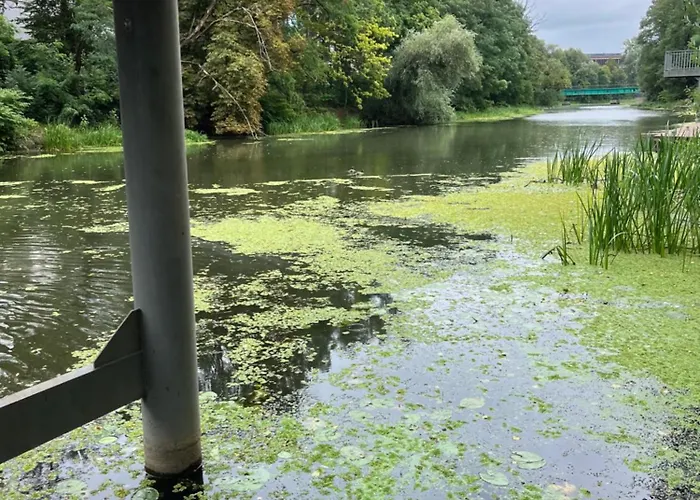 Riverside Industrial - Sauna - Gym -air-conditioning-spa-fitness Bed and breakfast 4*